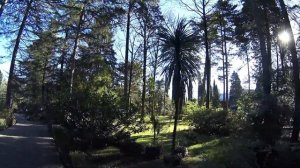 Санаторий Беларусь, Сочи. Часть 3-я