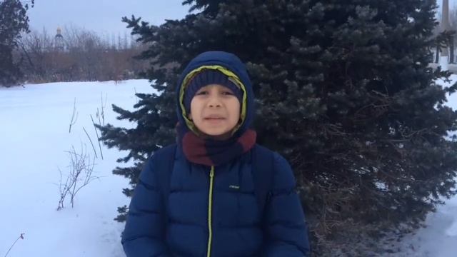 Зимнее утро А.С.Пушкин стихотворение