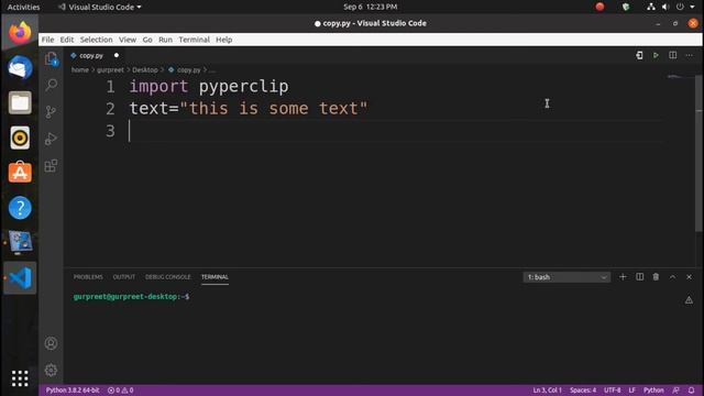 how to copy and paste the text in python program смотреть онлайн