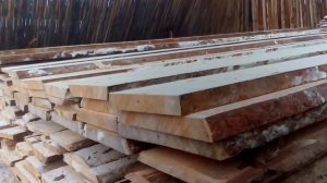 Пилорама - НОВОЕ МЕСТО РАБОТЫ -  АЛТАЙ 900 - Осмотр ленточной пилорамы