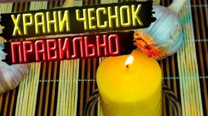 Молдавский секрет сохранения ЧЕСНОКА зимой #64