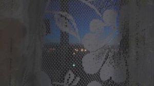 Цифровая рация лучше не покупайте...
