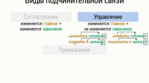 Виды подчинительной связи (8 класс, видеоурок-презентация)