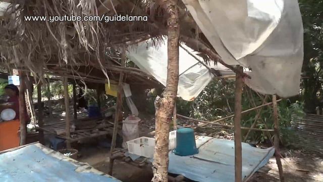 Mushrooms shop on the way to doi Inthanon Jomthong District Chiangmai Thailnd смотреть онлайн