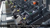Pineberry Collation Flow Wrap System