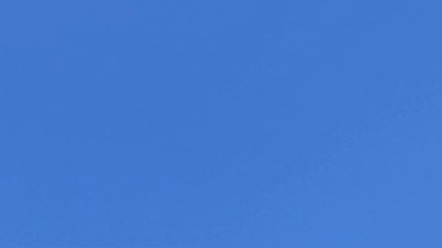 Полёты 20.06.23. Ижевские и пермские голуби. смотреть онлайн