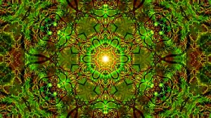 Футажи! Комплект Футажей Лесные фантазии 7 от Киностудии Мудрого Кота Тимофея!