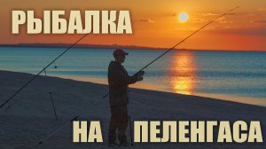 Морская рыбалка на пеленгаса и замечательный отдых