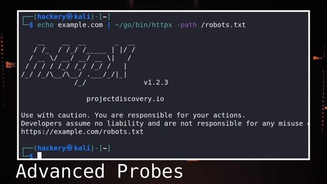 HTTPX a fast multi purpose HTTP toolkit смотреть онлайн