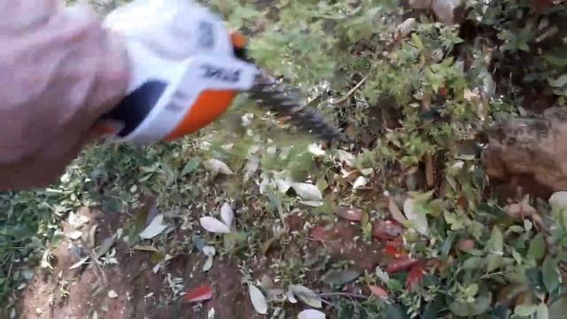 Stihl HSA 25 смотреть онлайн