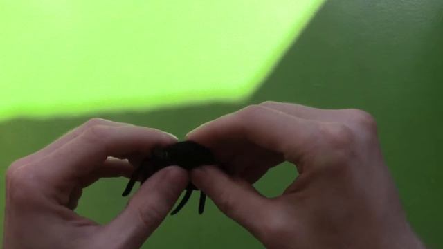 Паучок на солнечных батарейках смотреть онлайн