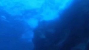 океан живет своей жизнью