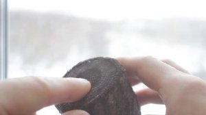 Сушка дерева в бумажной мембране. Интересный способ высушить дерево в домашних условиях