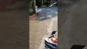 Крым Николаевка авангард