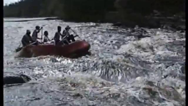 В Карелии кошки тоже проходят пороги смотреть онлайн