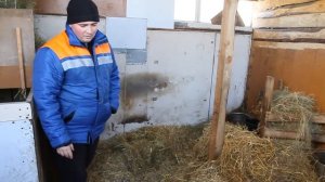 Как мы сарай строили 4// коровник// строим сами//