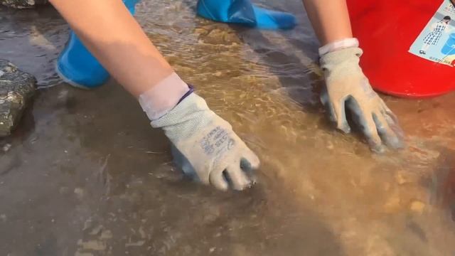 【合集】大潮過後大貨出來覓食，龍蝦八爪魚齊聚礁石區，牛牛抓了個夠【牛牛趕海海鮮】