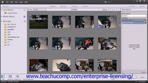 Adobe Photoshop Elements 12 Tutorial The Organizer Employee Group Training  2.6