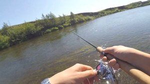 Рыбалка №3 - 2023г. Голавль на спиннинг. ZipBaits Hickory SSR