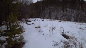 Второй грузовик металлолома с того же места!