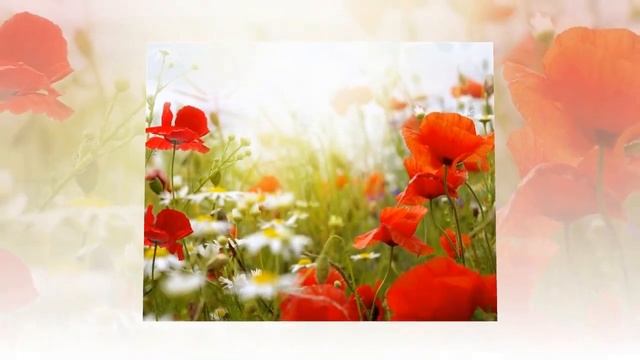 КОСМИЧЕСКИЙ ЗАКОН ПЕРЕВОПЛОЩЕНИЯ. 10.06.2022. смотреть онлайн