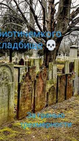 Уровень некробиотического излучения на кладбище 💀