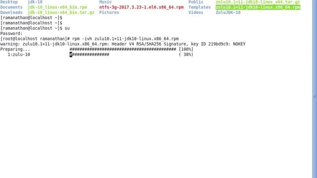 Azul's Zulu OpenJDK 10 RPM Installation in RedHat Enterprise Linux 6.9 | Java SE 10 (18.3) Released смотреть онлайн