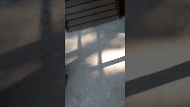 24 июля 2021 г. смотреть онлайн