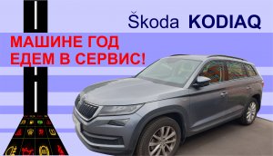 SKODA KODIAQ первый год эксплуатации. Поломки за год. Стоимость ТО