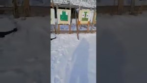 карабин тигр 7.62 - 51