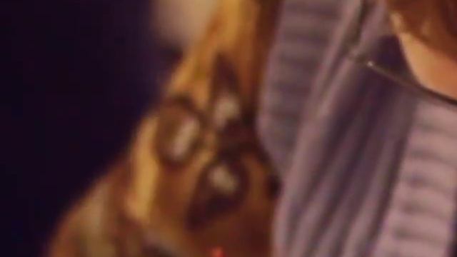 Видео зарисовки с мастер-класса Юлии Ромас по правополушарной живописи "Рисовать увлекательно" смотреть онлайн