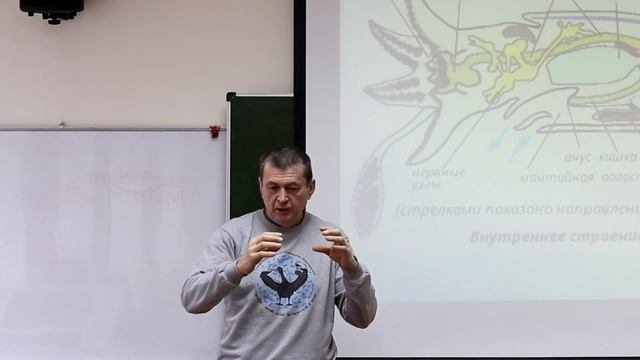 Зоология беспозвоночных. Курс лекций. Лекция 4. ч. 1 смотреть онлайн