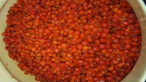Варенье из красной рябины