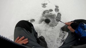 Удачная блесна приносит удачу. Уловистая блесна на окуня  Ловля окуня зимой. Зимняя блесна