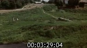 Медведково 1964 год