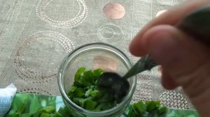 Как сохранить зеленый лук для зимы.