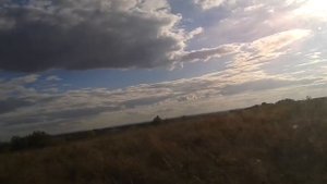 Поздний арбуз где растет.  Поездка за арбузом.