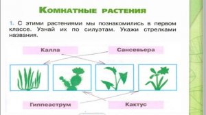 Окружающий мир. Рабочая тетрадь 2 класс 1 часть. ГДЗ стр. 53 №1