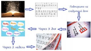 Урок 2. Как запоминать и не забывать слова. Как устроена память человека.