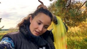 ЧЕГО СТОИЛА ЭТА ТИХАЯ ОХОТА В ЛЕСУ. СДЕЛАЛИ ВЯЛЕННЫЕ ТОМАТЫ И СЛИВА В МАСЛЕ. ЖИЗНЬ В ДЕРЕВНЕ