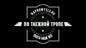 Охота на барсука. Поиск барсучьих нор