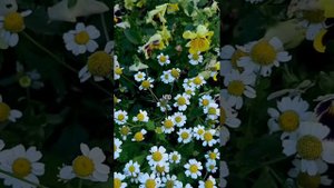 От чего зависит семейное счастье.