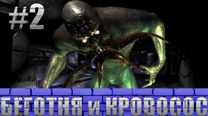 Беготня и кровосос - Прохождение S.T.A.L.K.E.R.: Тень Чернобыля #2