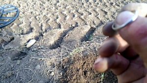 Поиск монет с Квазар АРМ. Серебро!