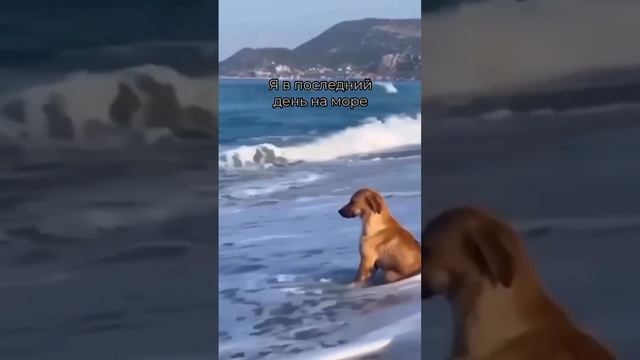 Где бюджетнее отдыхать этим летом?