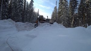 Бульдозер расчищает дорогу в лесу