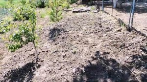 Сколько взять соток,обзор участка