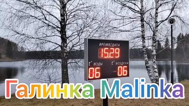 Ольга Уралочка live /Прошу помощи /Потеряли шишку в сосЕнках /Обзор Влогов /Уралочка и Сафар /