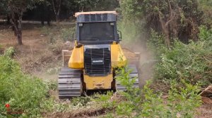 New First Project Clear Trees And Filling With Skills Operator DR51PX BullDozer & DuMp TruCks Work