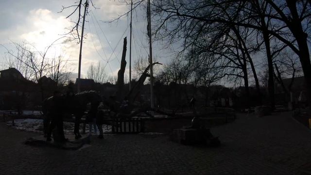Запорожье СИТУАЦИЯ С 700 ЛЕТНИМ ЗАПОРОЖСКИМ ДУБОМ 07.02.2023